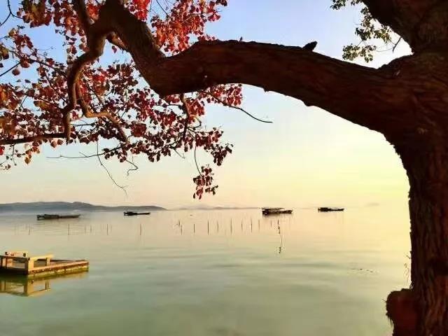 永慧禅寺┃蟠螭山美景,感叹人间值得来过!