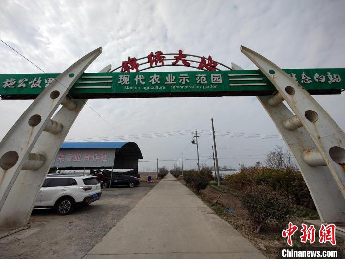 探访大丰农业基地:让上海市民吃到新鲜"苏"菜