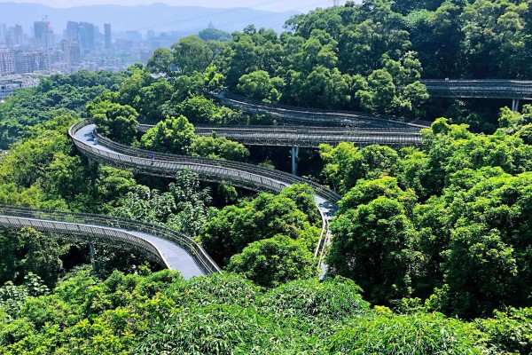 福州森林步道图片