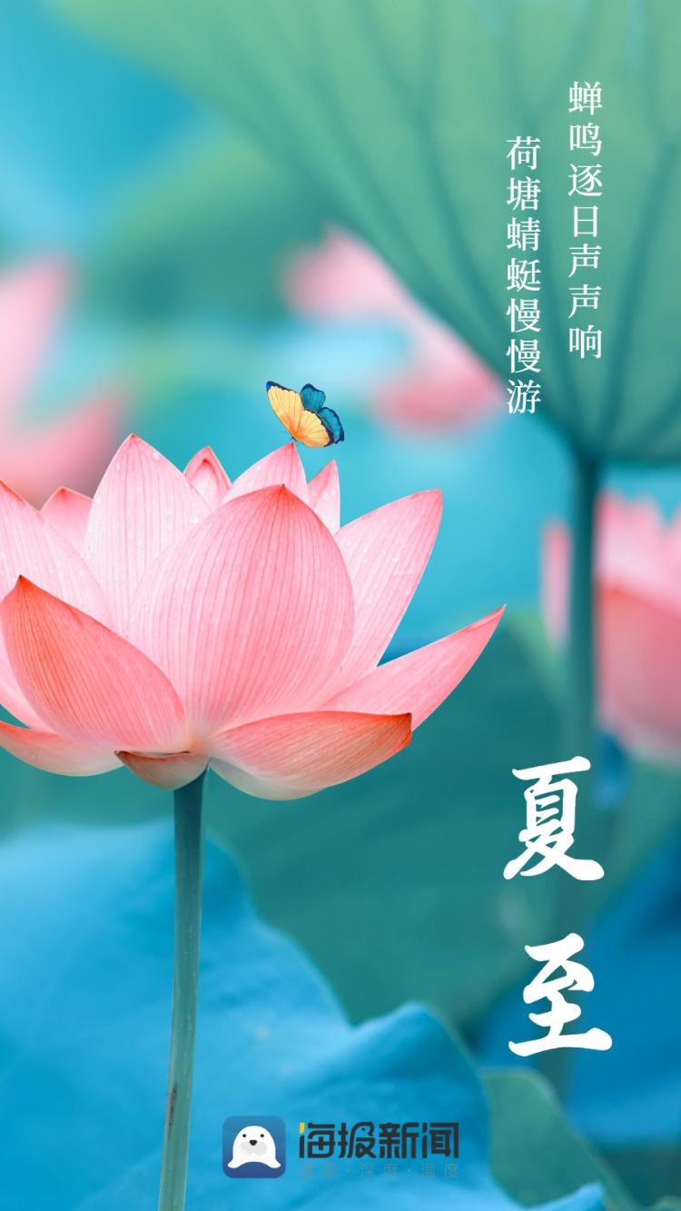 海报图品|叮咚~这里有一份夏至壁纸请查收