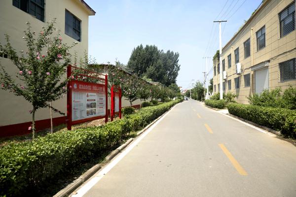 枣庄滕州市龙泉街道:狠抓环境整治建设美丽家园