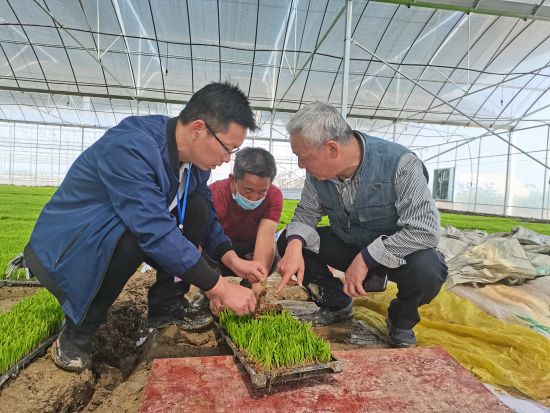 江西永修淦城:用25年青春担好乡村振兴的"三种角色"