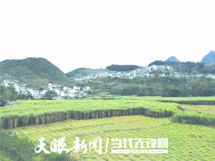 常思扶贫干部的温情丨关岭自治县上关镇冬足村村民李春茂