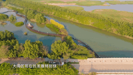 2023大湾区电影音乐晚会_春潮是你的风采风采是什么意思_描绘春光或描绘儿童的古诗