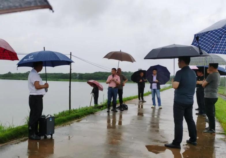 奉新县宋埠镇"防汛课堂"进一线