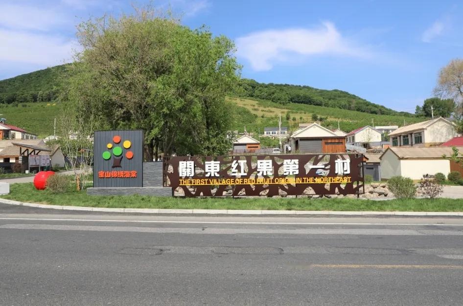 "新农人"圆三代人"红果梦" 磐石市宝山乡三位大学生返乡创业