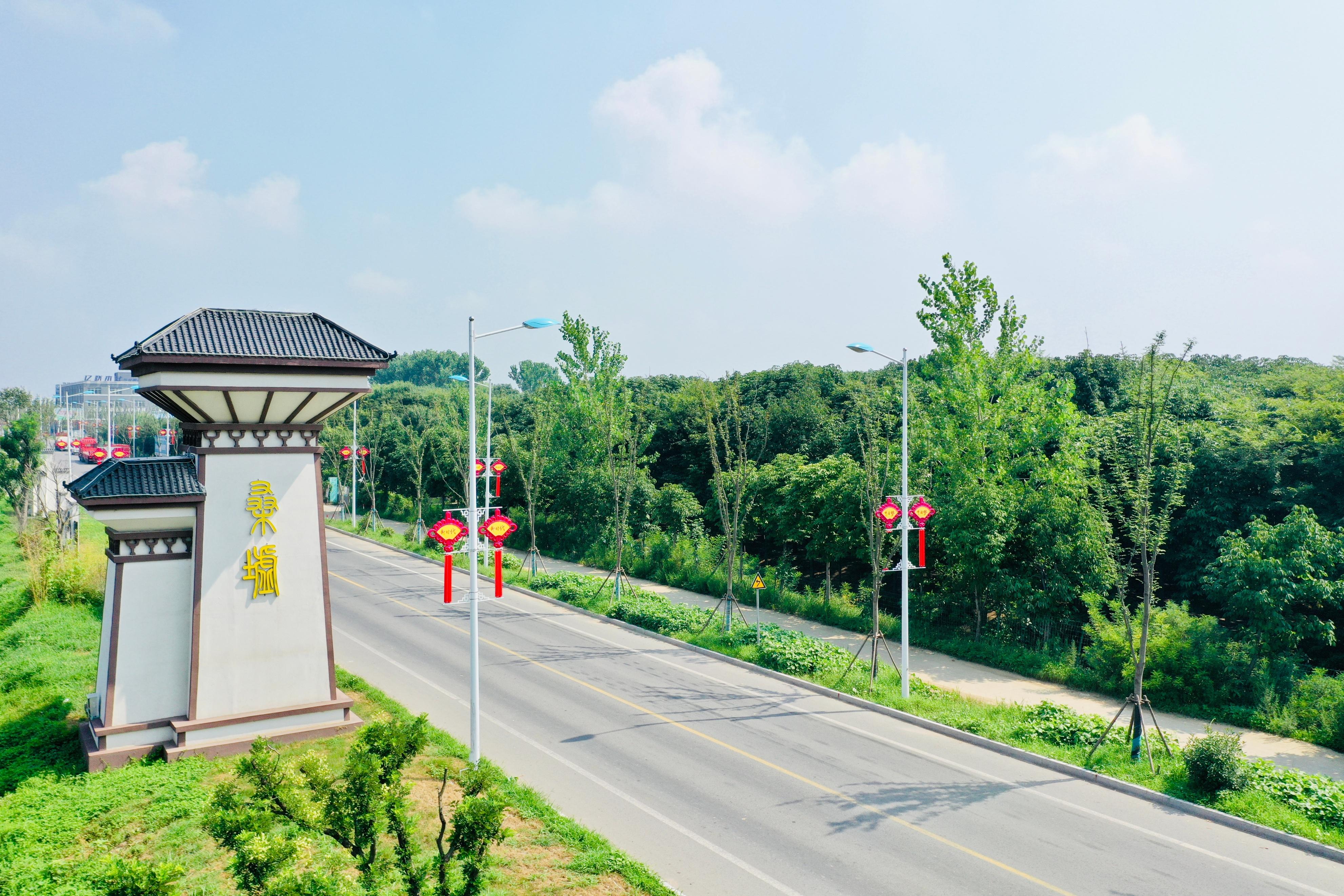 江苏沭阳桑墟镇:项目为王,跑出板材之乡发展加速度