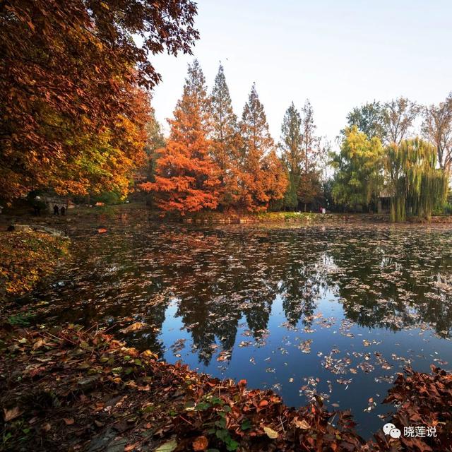 秋天的童话——中国皇家园林之颐和园新的光影（一）
