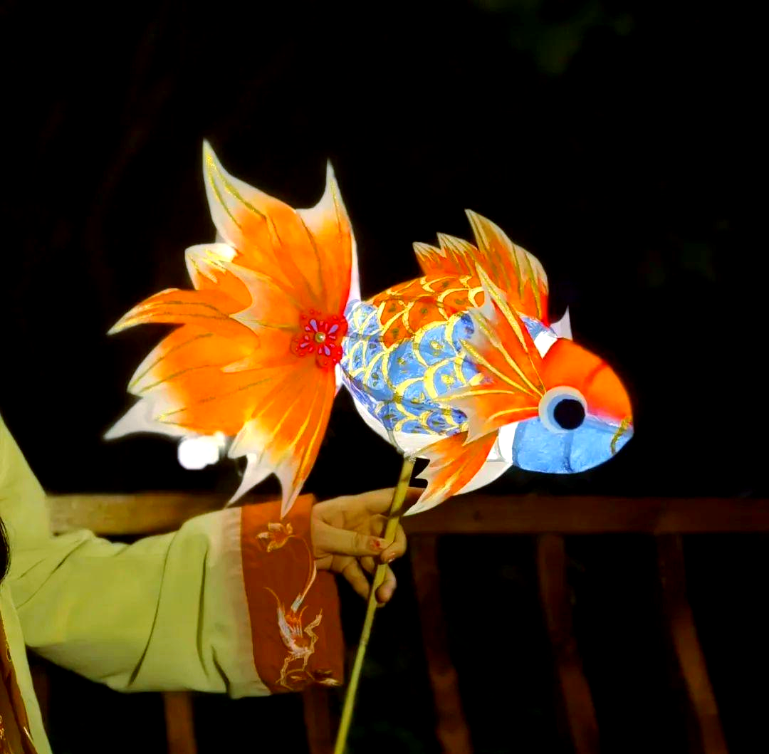 非遗金鱼灯制作全教程