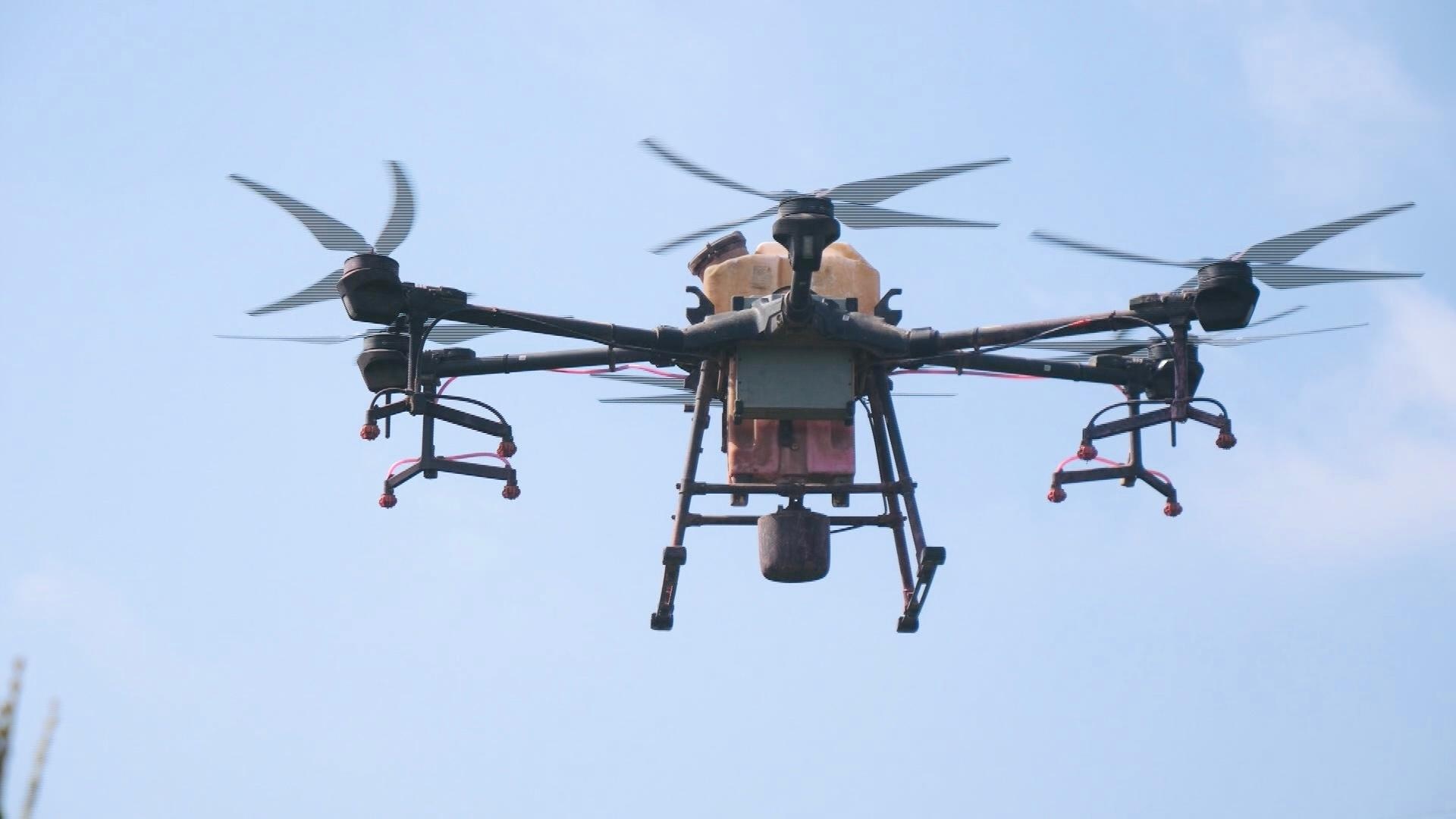 衡水阜城崔家庙镇:无人机飞防作业 科技助农保丰收