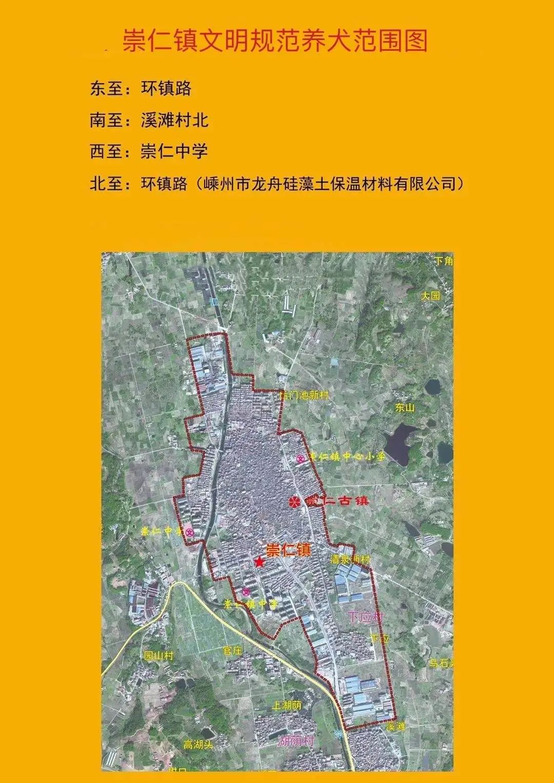 家住崇仁镇的人注意!从2021年起,你家养犬不能"任性"了