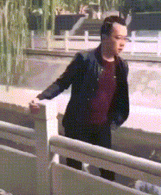 以为这只猫能跳过来呢 第29张