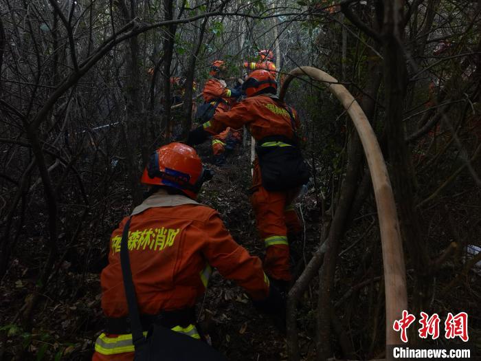 大理凤仪镇突发森林火灾 火场东线南线基本得到控制