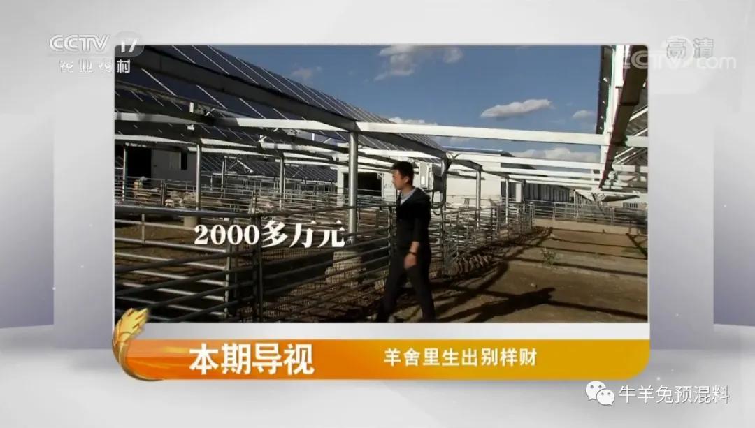 致富经央视(央视致富经视频全集)