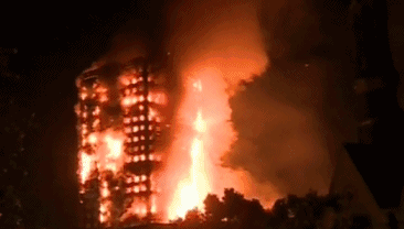 除了新冠疫情,大上海还应该预防哪些灾害?