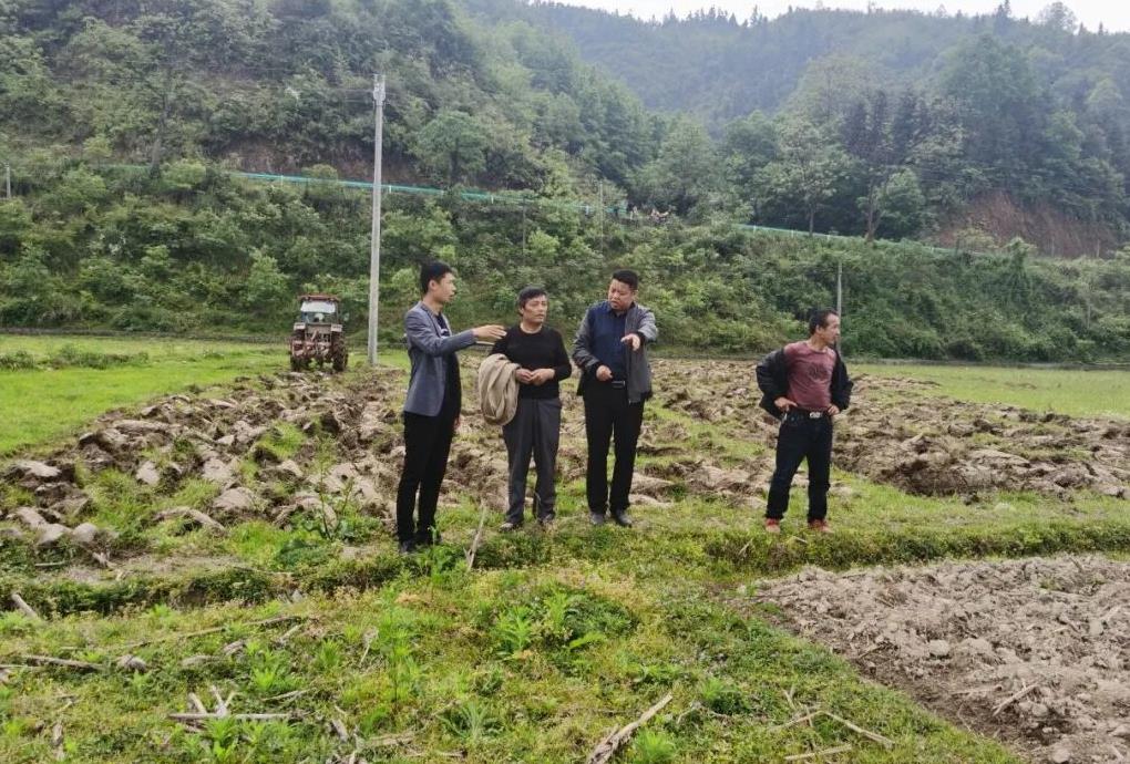 天柱县邦洞街道:因村制宜整治撂荒地,让"沉睡"土地焕发活力