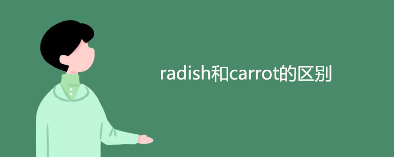 radish和carrot的区别