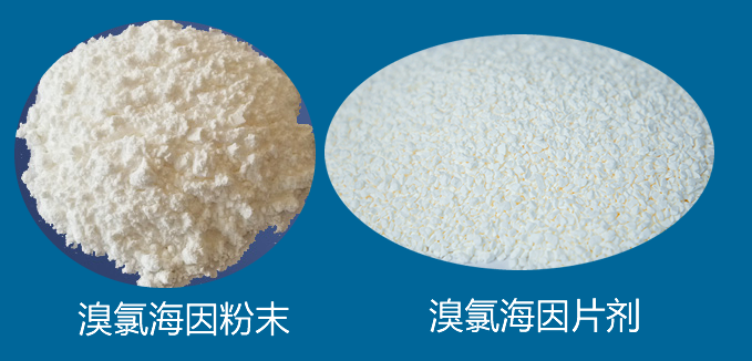 溴氯海因粉末片剂成品展示