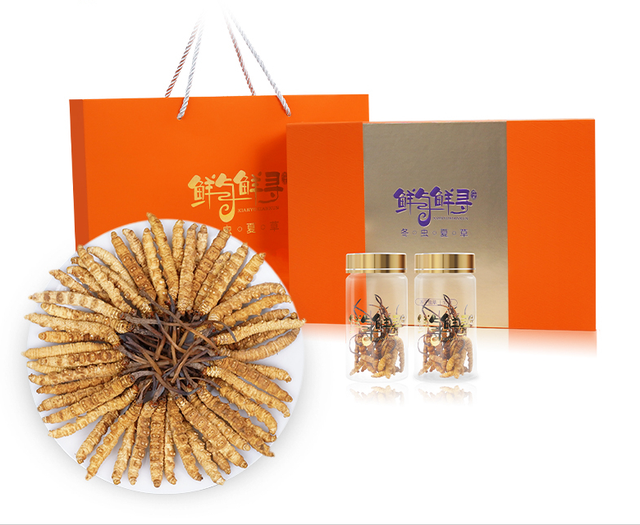 西藏冬虫夏草多少钱一斤?哪能买到正宗的冬虫夏草?