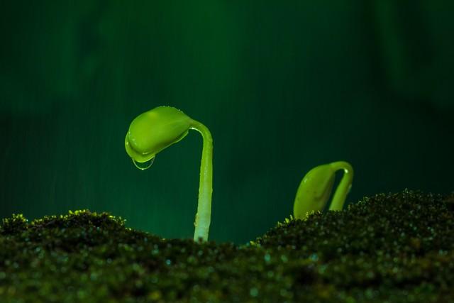 知行合一:实现个人成长与成功的关键