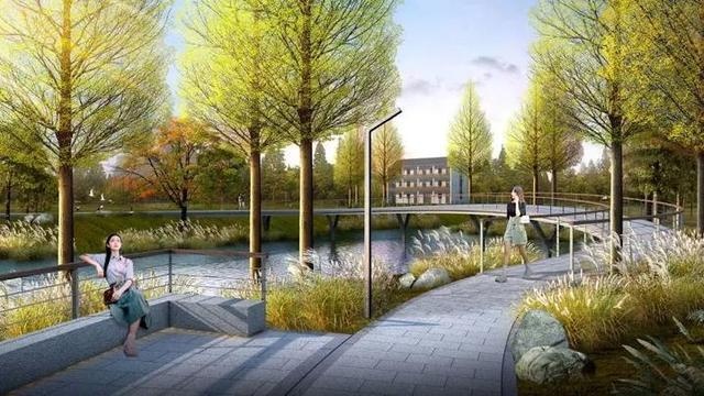 杭州滨江张家西直河马上要"旧貌换新颜",颜值提升不是一点点