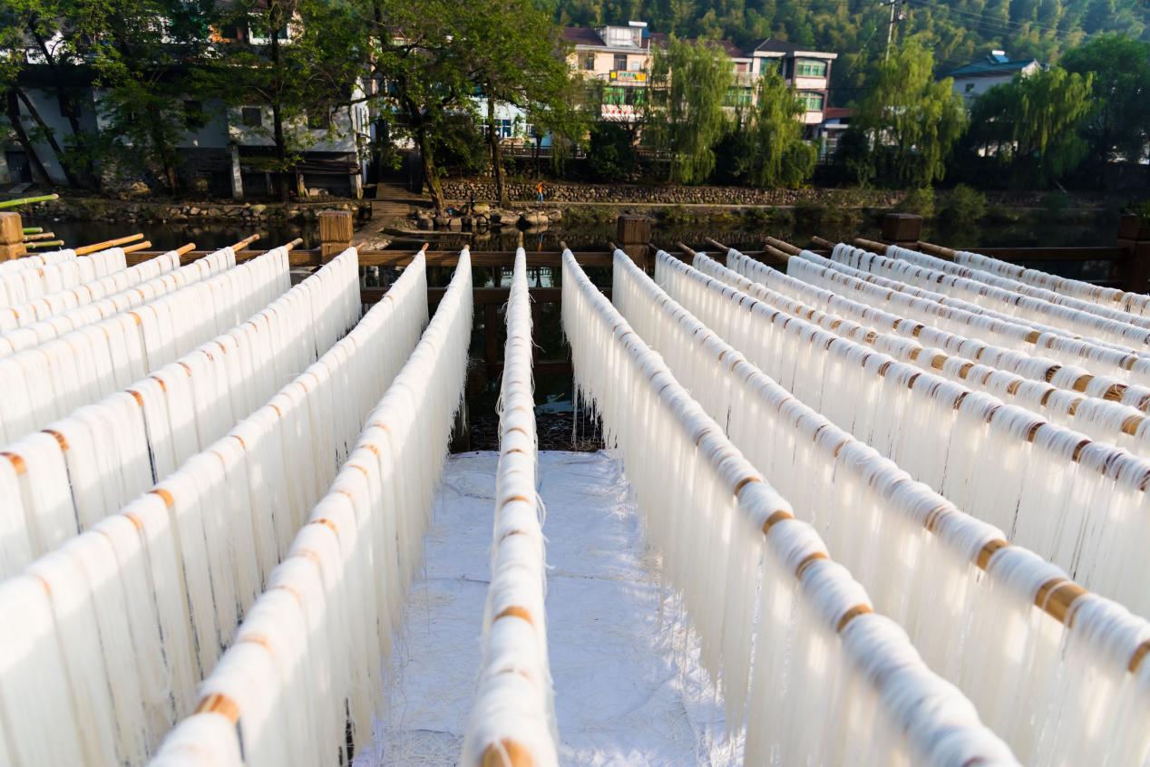 神州答卷丨绘就美丽中国"之江画卷"