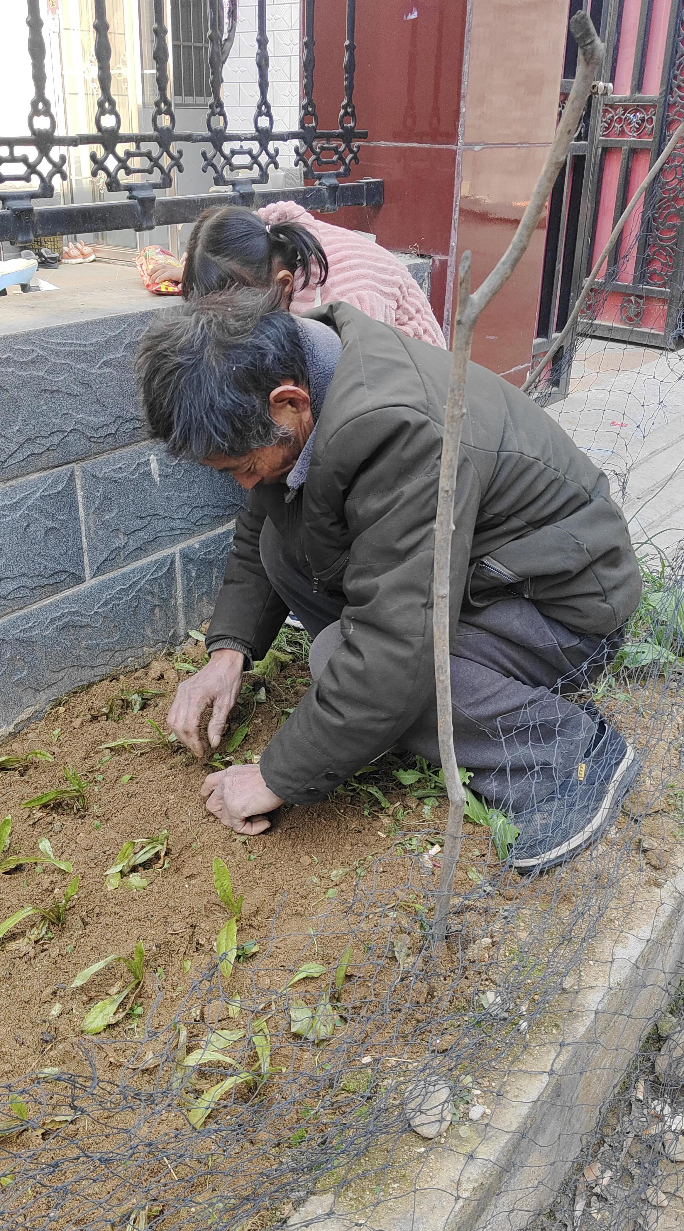 农村里有一位勤劳而不事张扬的公公