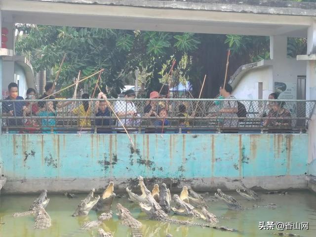 鳄梦岛 baijiahao.baidu.com