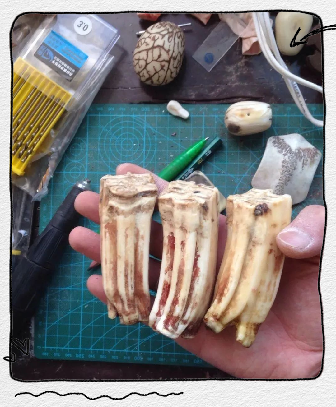 日本鹤天珠:文玩圈的小众瑰宝与现代仿品揭秘