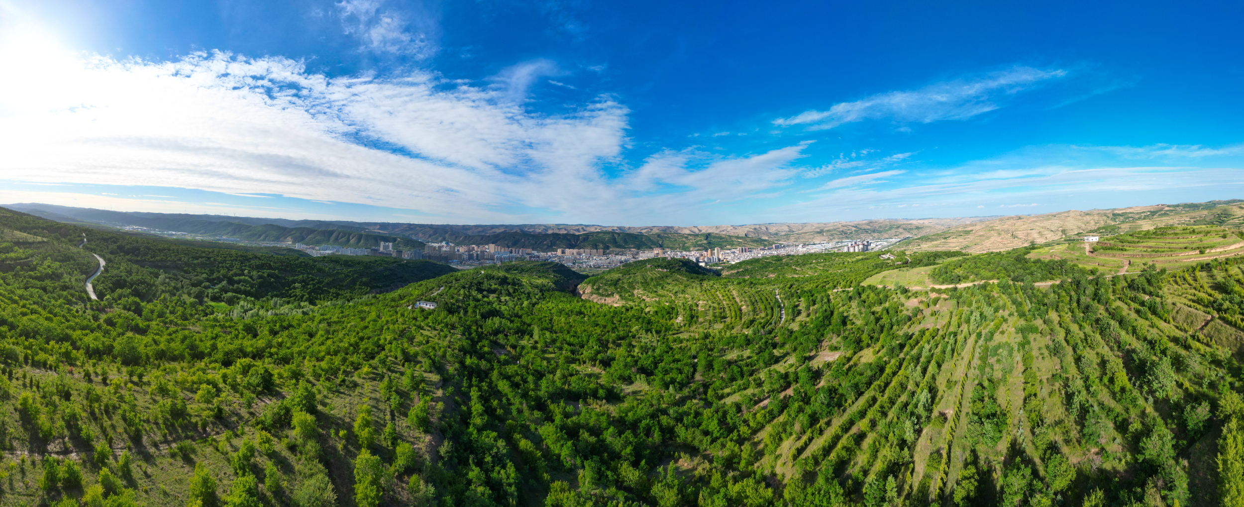 甘肃通渭:奋进中的精彩答卷