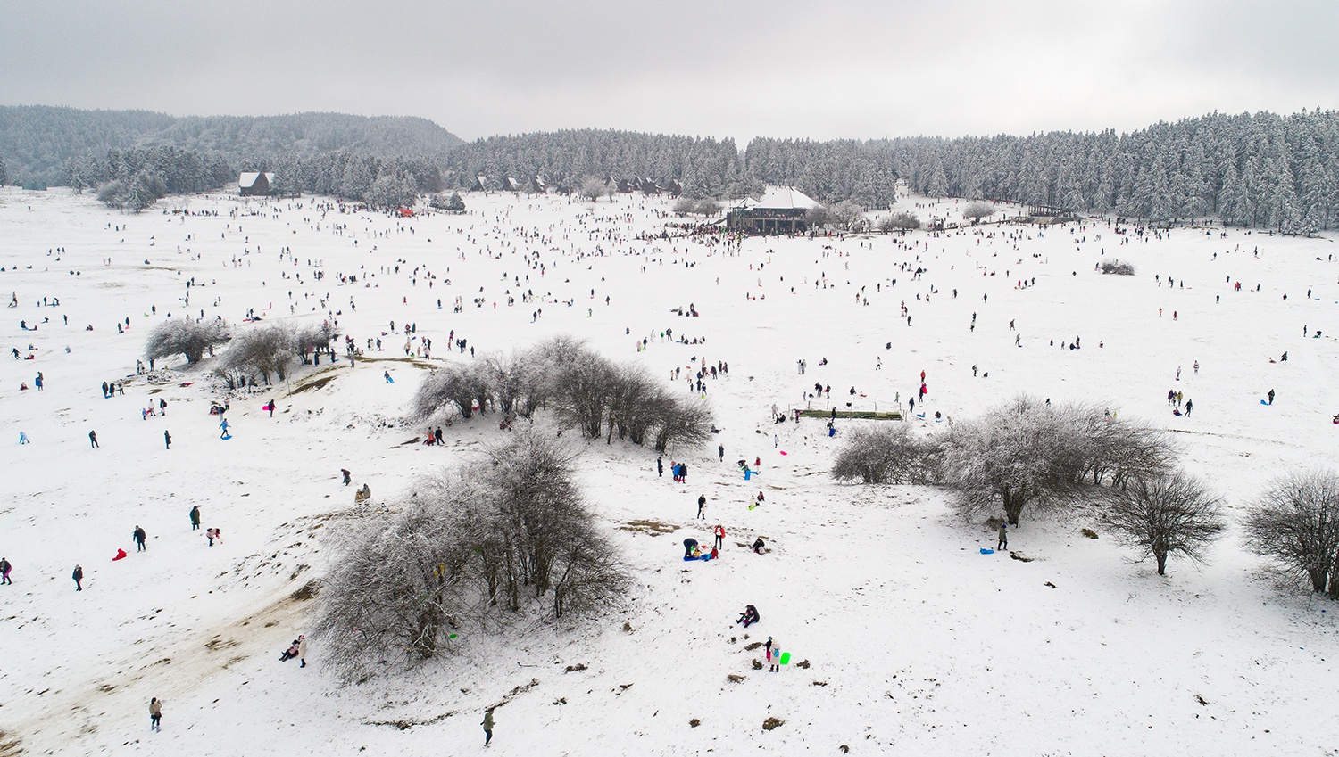 南国雪原武隆仙女山 赏雪玩雪迎新年