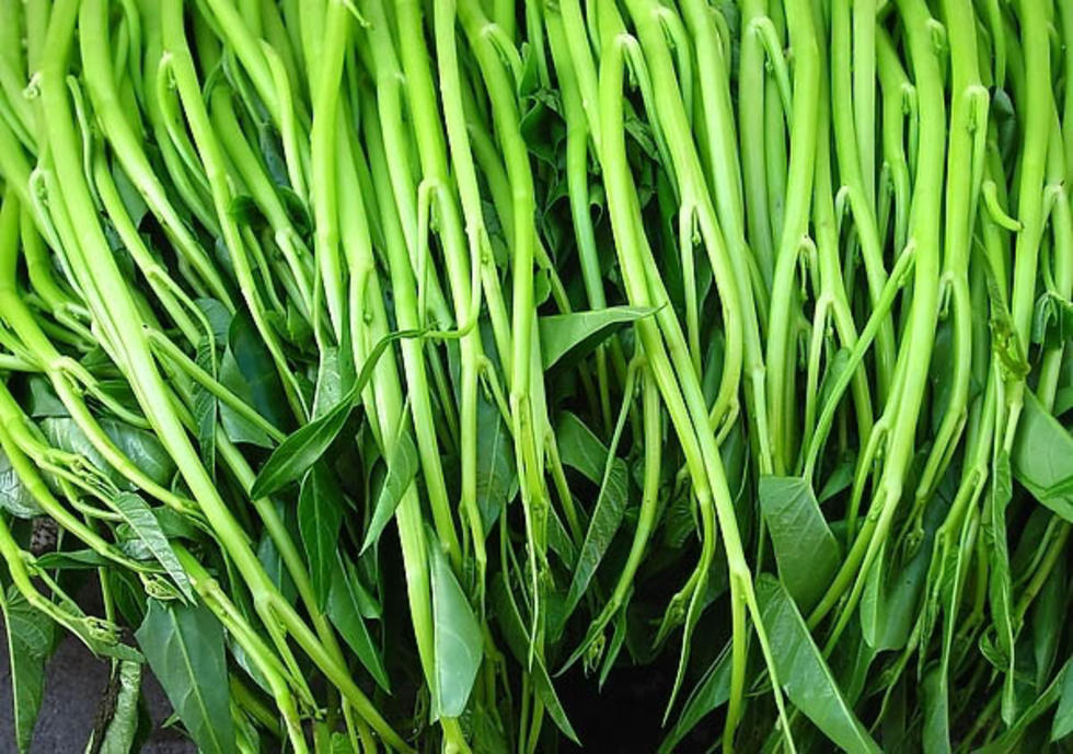 在国内3元一把的蔬菜,吃不完只能喂猪,运到美国却比肉还贵!