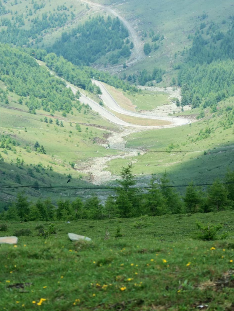深度游玩!芦芽山最美的夏季来了!