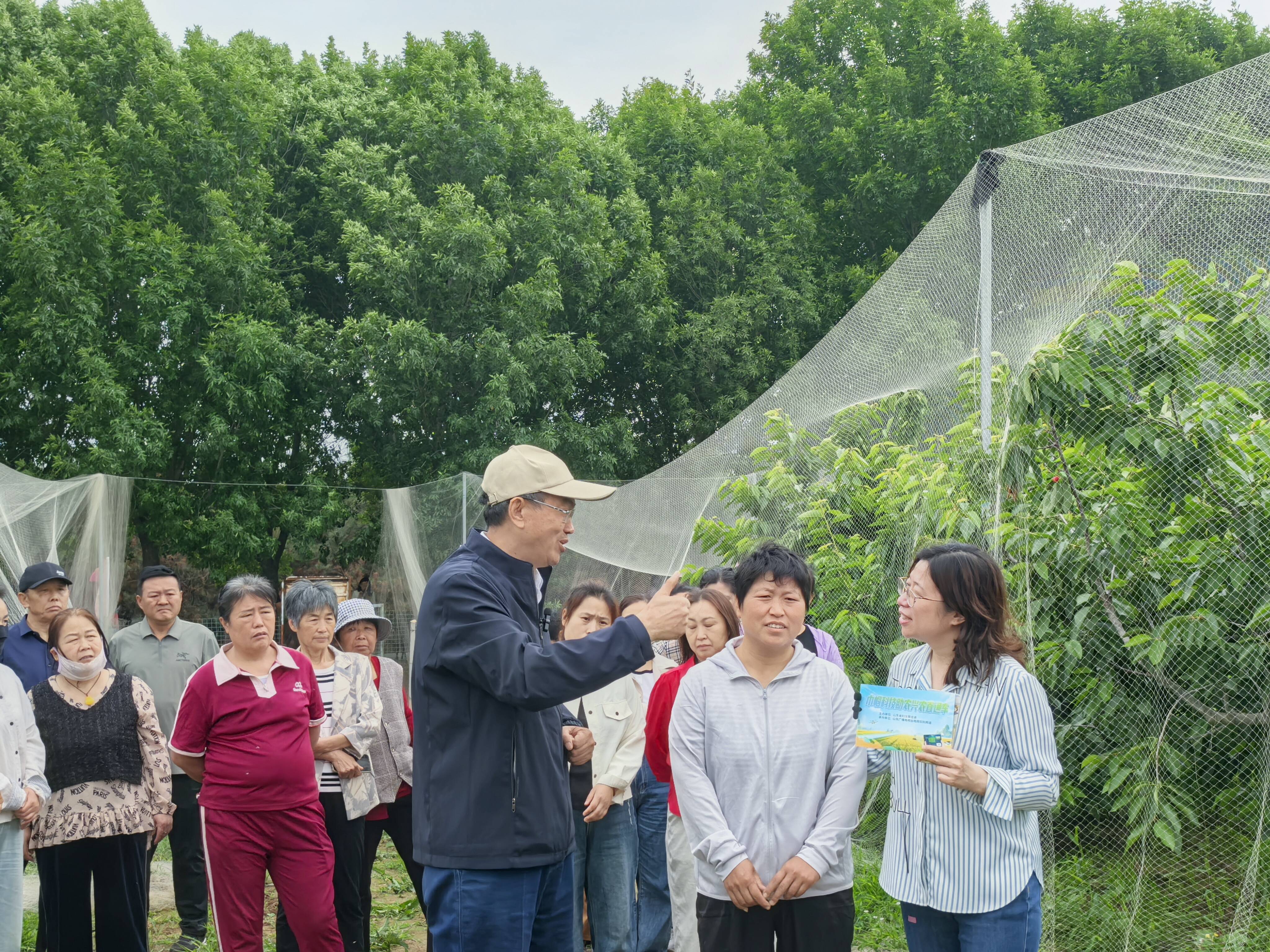 雨后救园！用科技守护“樱桃红”——2026巾帼科技助农兴农直通车走进泰安 - 图2