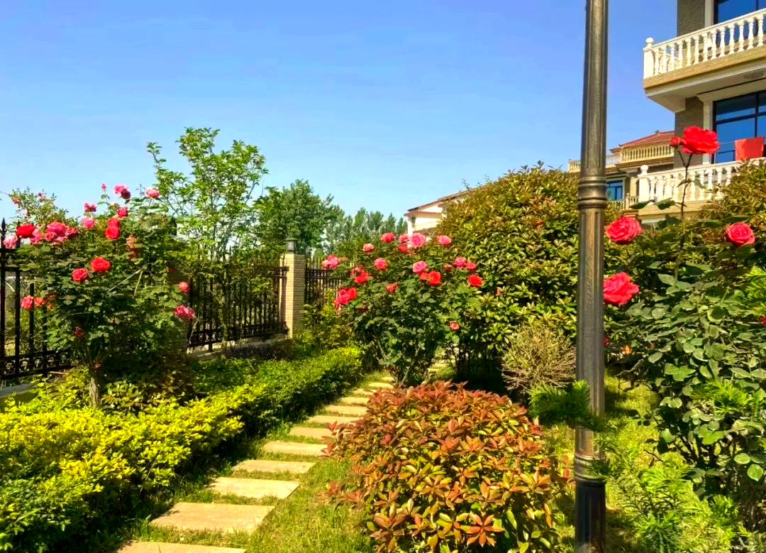 汉台区"五美庭院"示范村