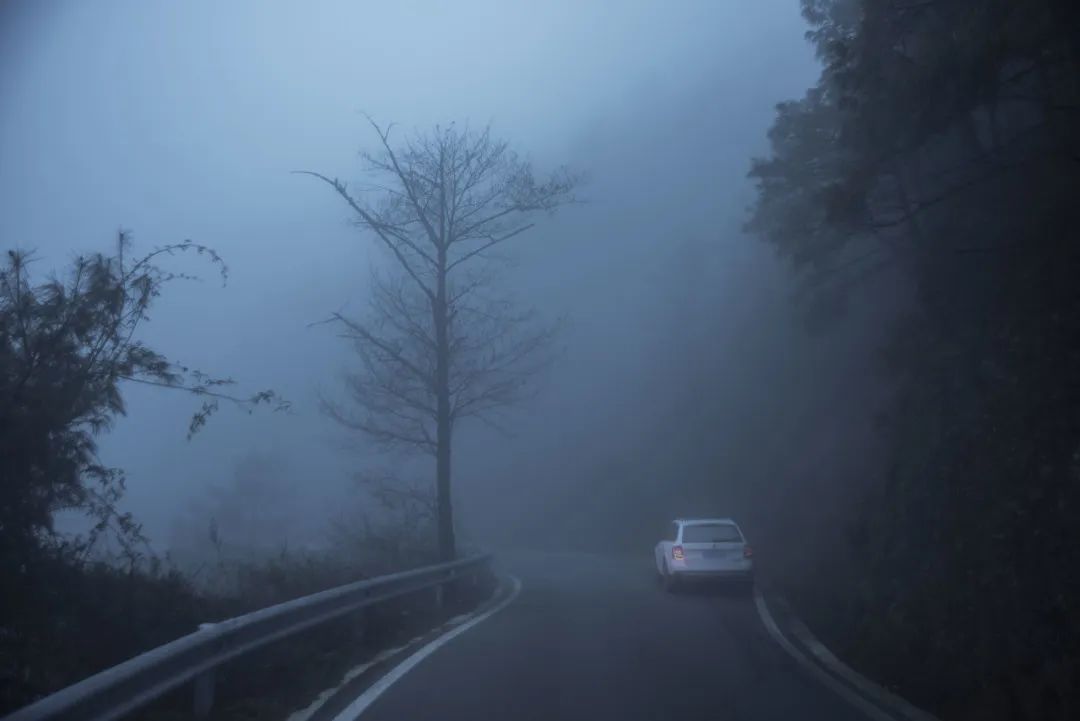 上海一高速因"团雾"致多车碰擦,如何安全地应对这位流动的"高速杀手"?