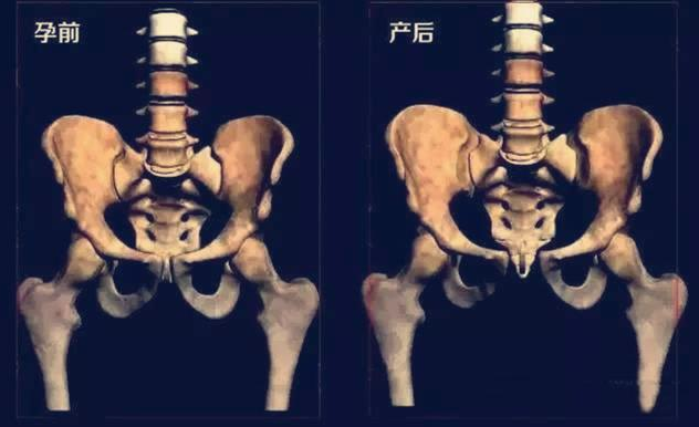 怀孕后内脏变化出乎所料