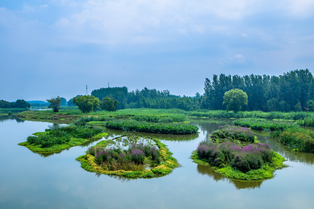 临沂市罗庄区旅游景点图片