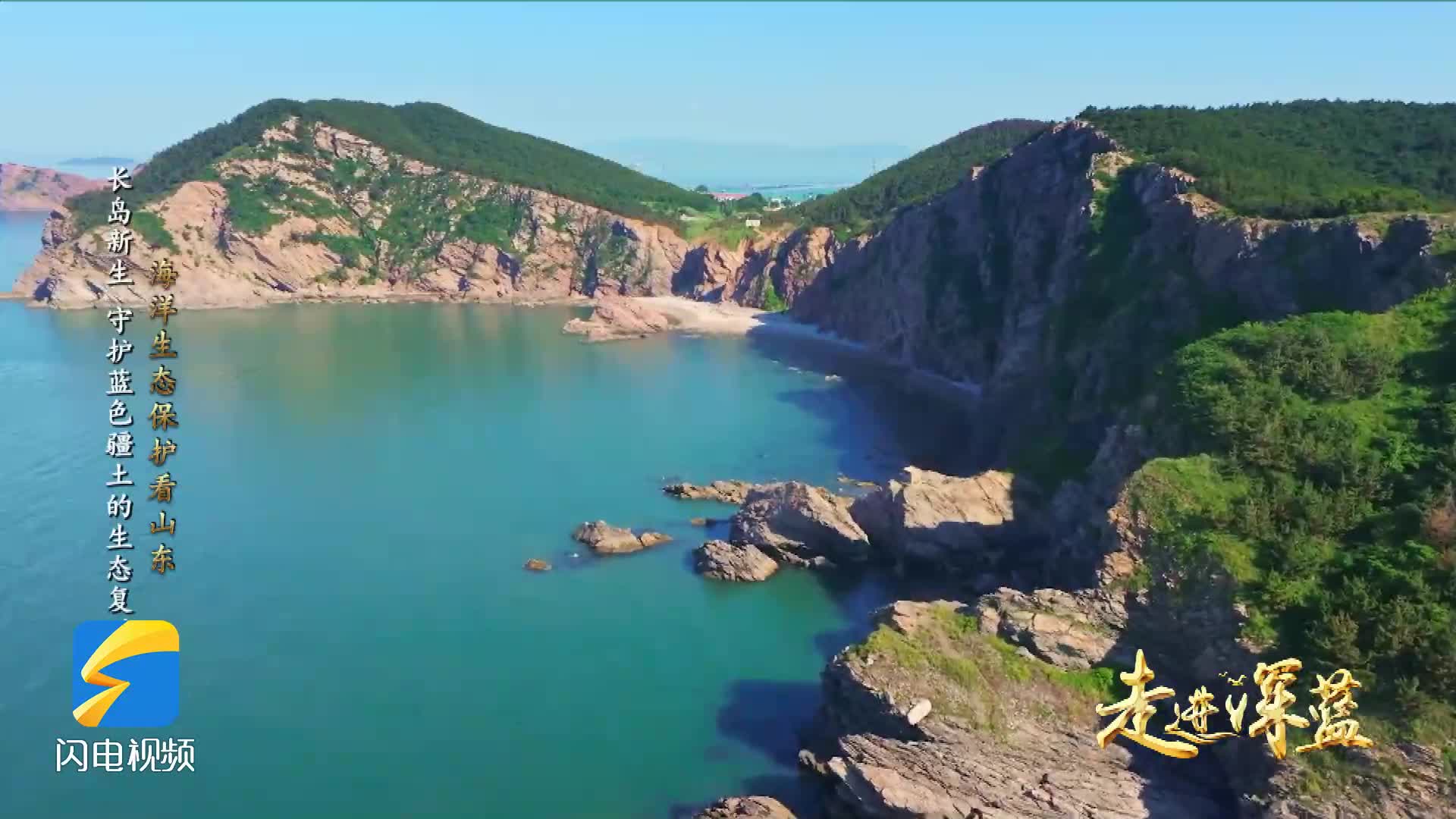 海洋生态保护看山东|烟台海洋生态修复典范:长岛绘就人与自然和谐共生