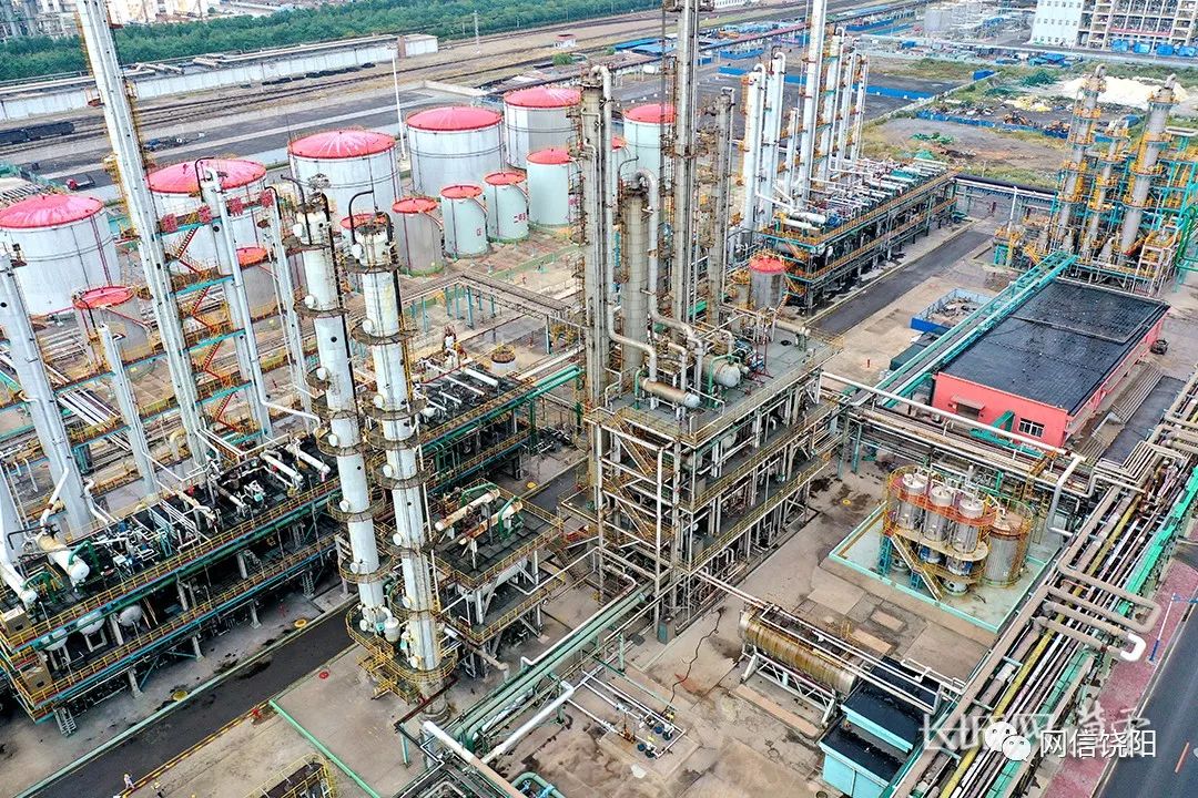 【二十大代表风采】邓晶:绿色未来 创新有我