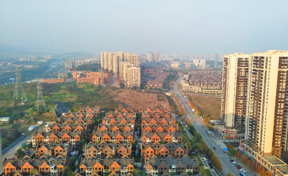 重庆南岸茶园,这里真的有茶叶园吗?