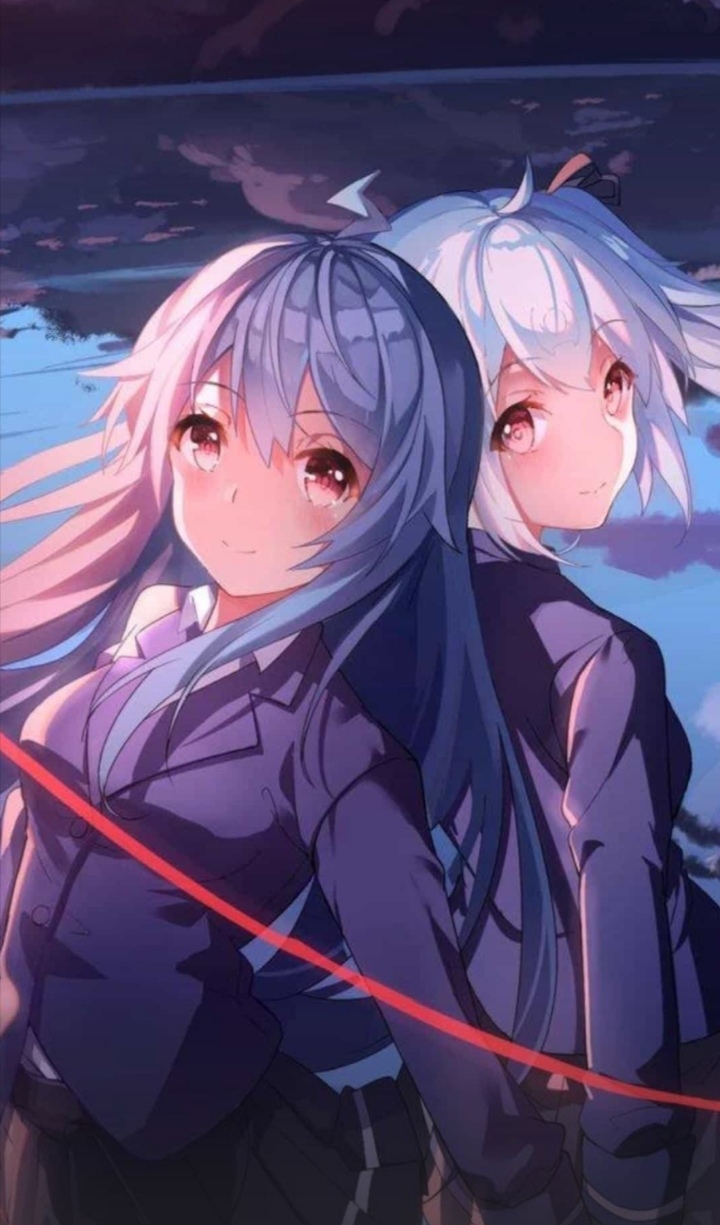 蝶恋花:图片收藏