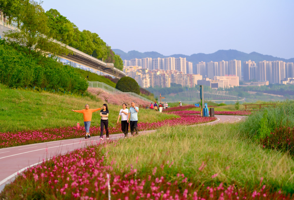 雅巴洞湿地公园图片