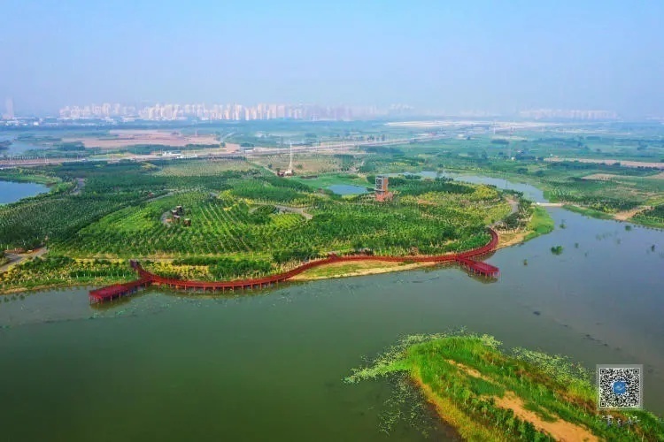 「喜迎区十二次党代会召开」津南区绿色生态屏障基本建成 津沽"绿谷"