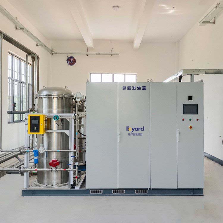 臭氧氧化催化处理废水 污水处理臭氧制氧设备