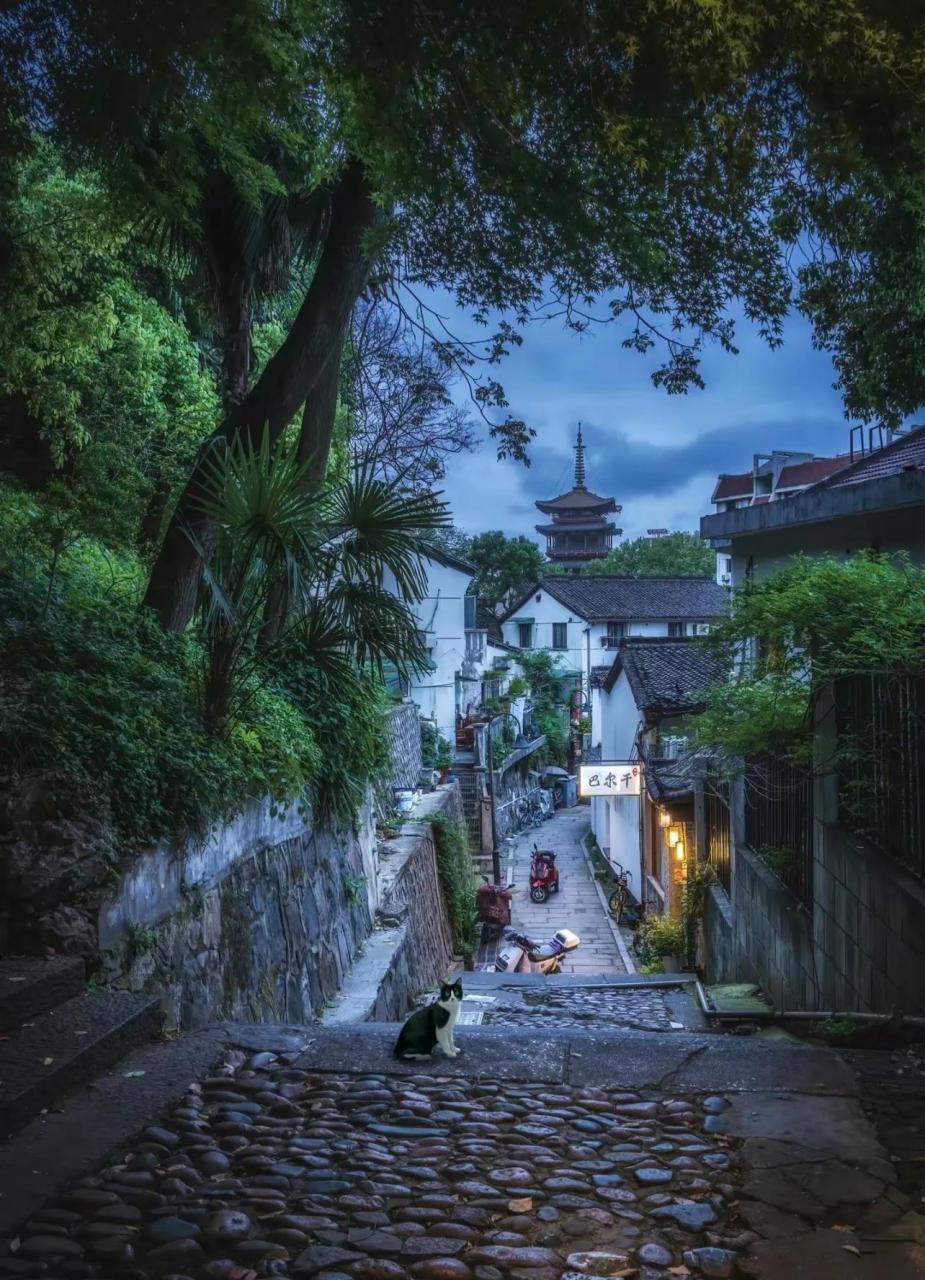 今日分享1717 晓霞弄 位于浙江省杭州市 它是一个古老经典的巷子
