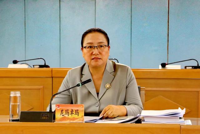 尼玛卓玛带队督办重点代表建议指出 以代表建议之石 攻法治宣传之玉