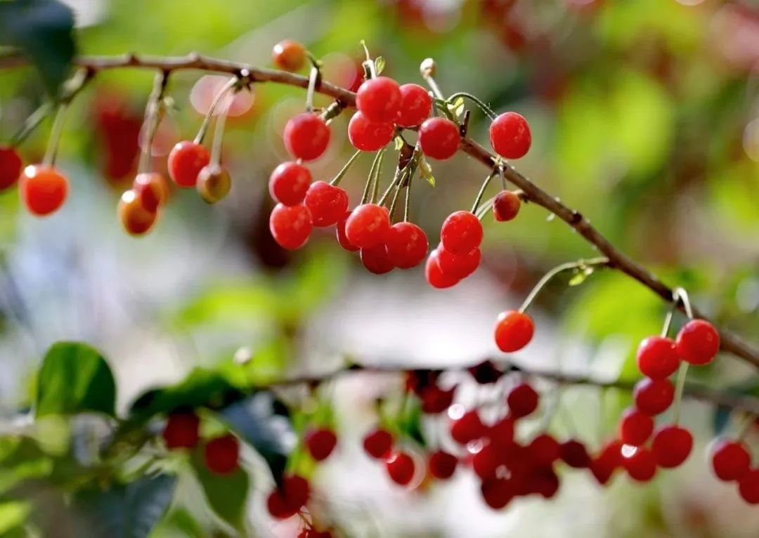 崂山花式宠妈攻略请收好陪伴是最长情的告白