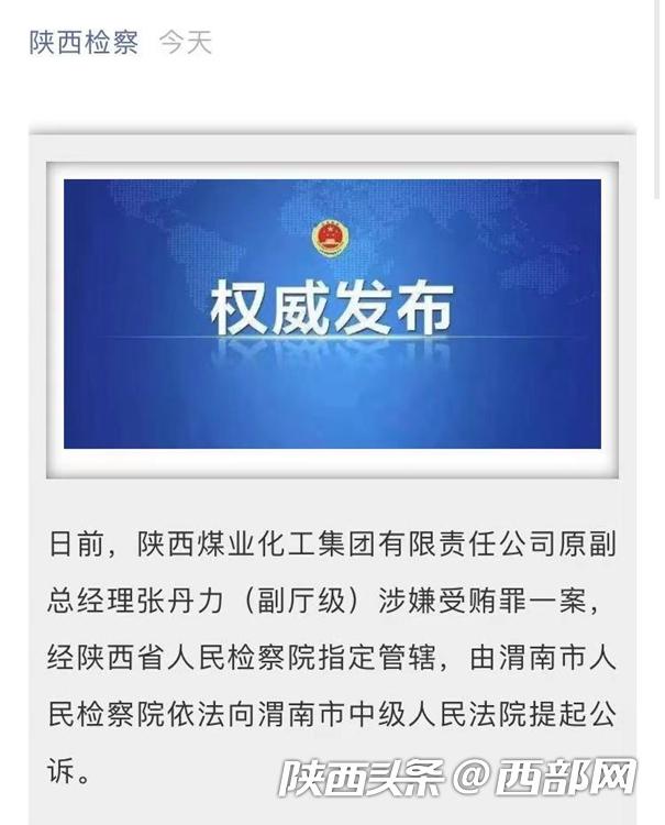 陕西煤业化工集团原副总经理张丹力被公诉