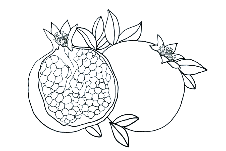 绘画课程|探索水果世界,感受石榴的色彩魅力